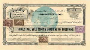 Homestake Gold Mining Co. of Tuolumne